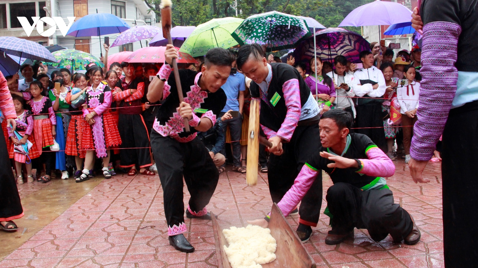 Sơn La không tổ chức Ngày hội văn hóa các dân tộc huyện Mộc Châu